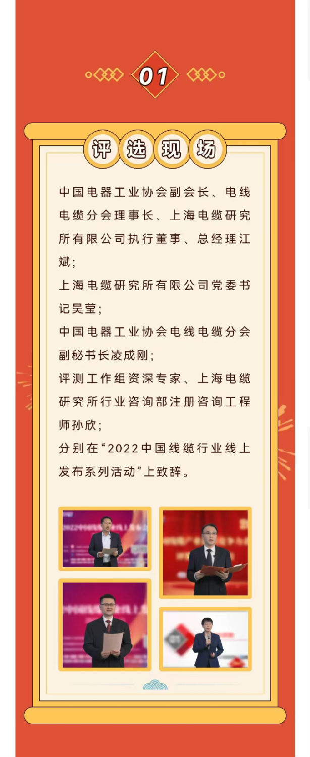 2022年度中國(guó)線(xiàn)纜產(chǎn)業(yè)最具競(jìng)爭(zhēng)力企業(yè)10強(qiáng)